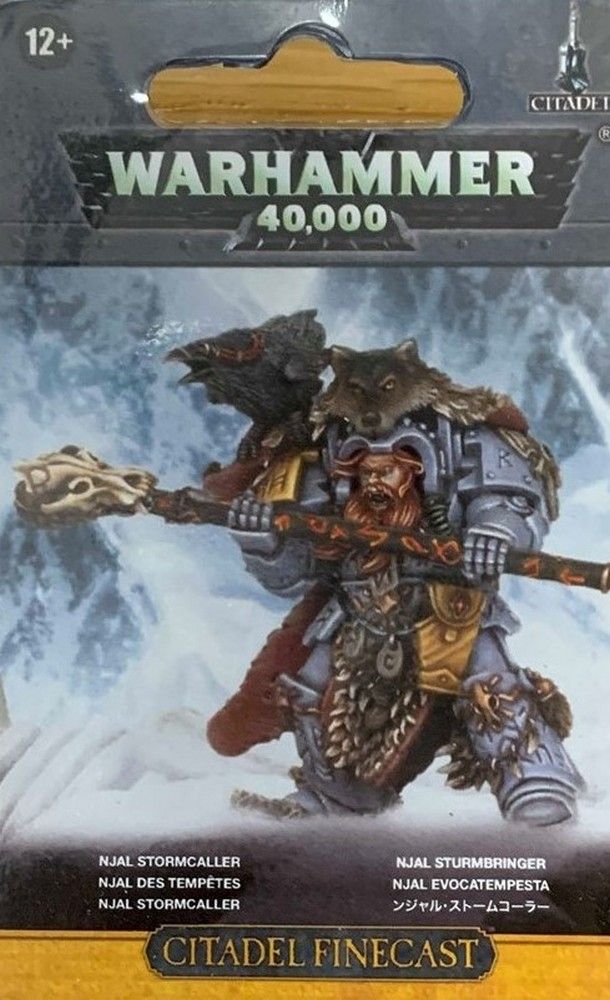 Space Wolves: Njal Stormcaller in Terminator Armour