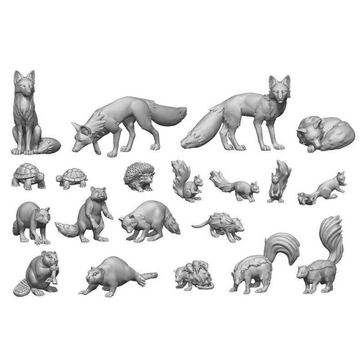 Forest Animals