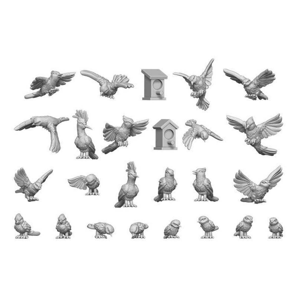 Wild Birds