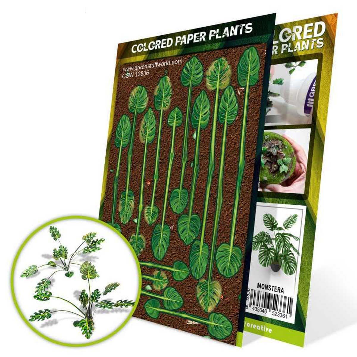 Colored Paper Plants - Monstera