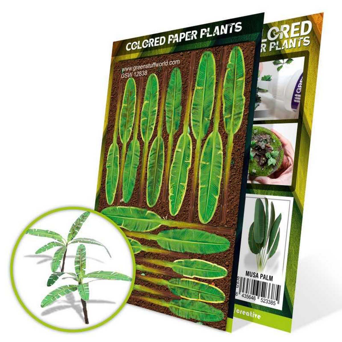 Colored Paper Plants - Musa Trees