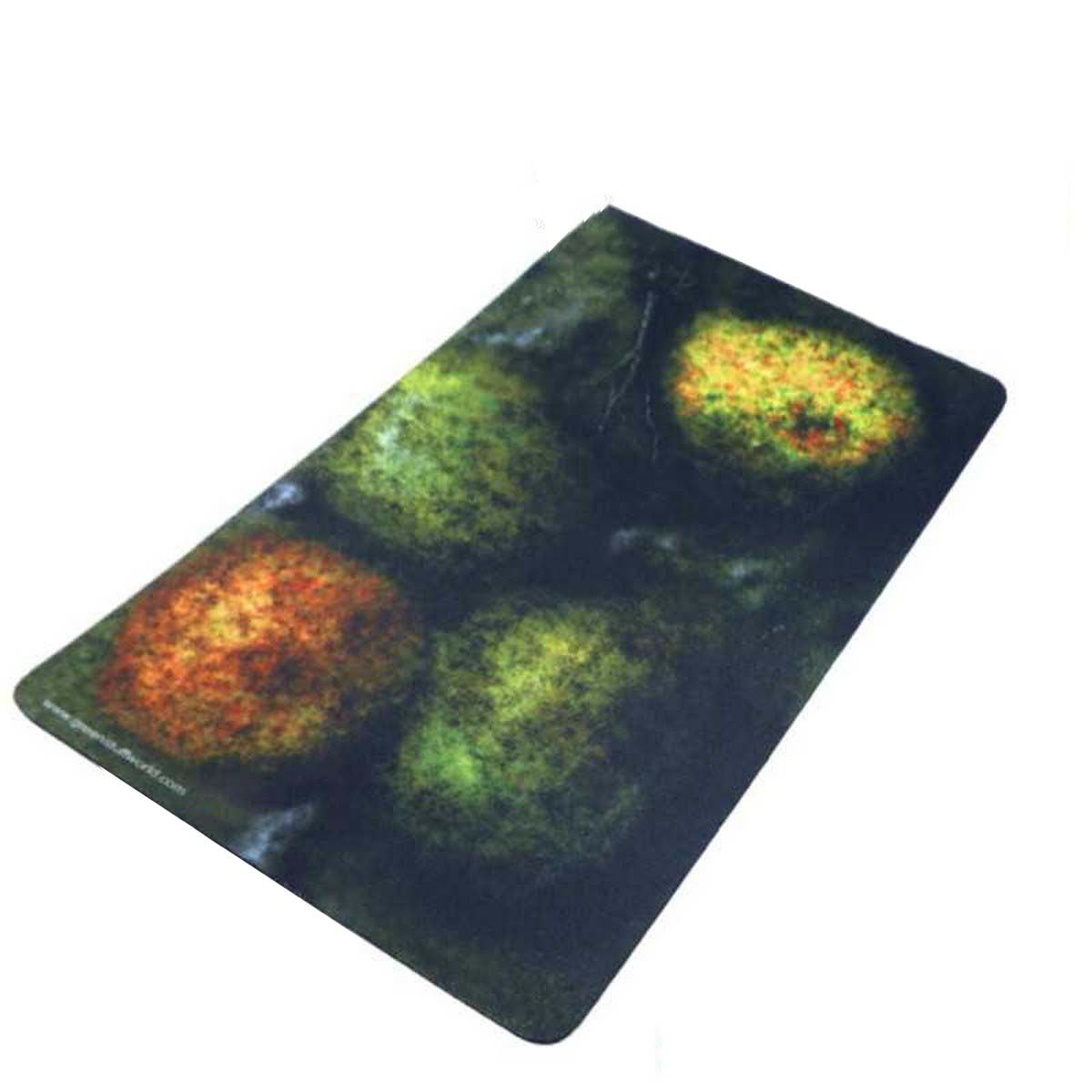 2D Neoprene Terrain - Forest with 4 Trees