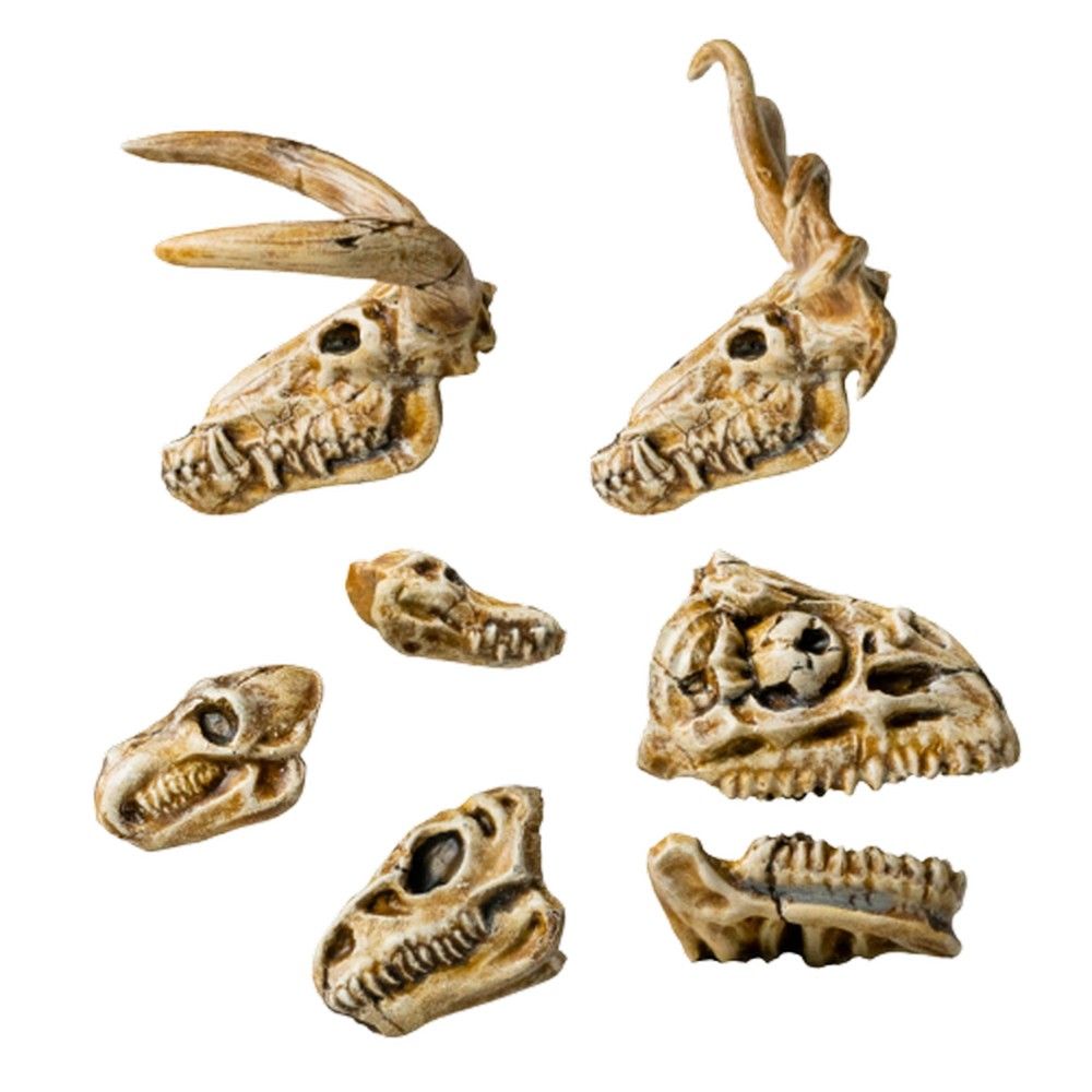 Beast Skulls