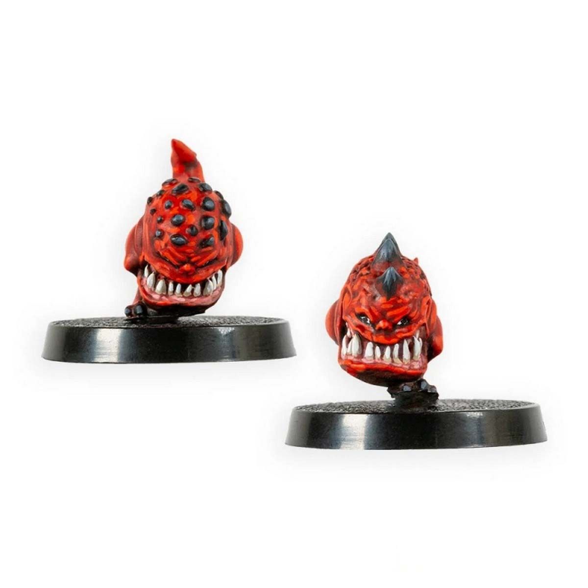 Baby Gnaws (2)