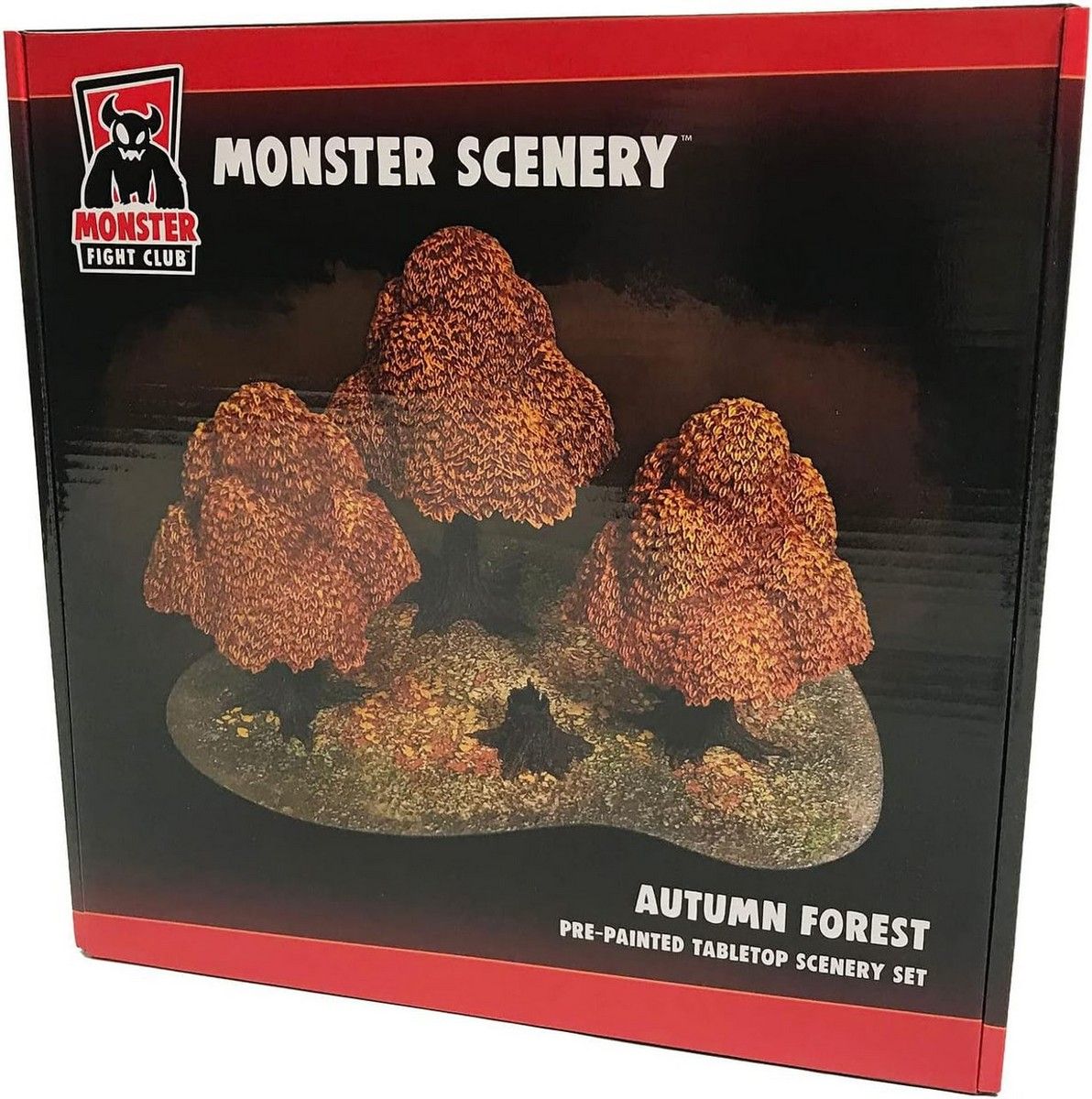 Autumn Forest