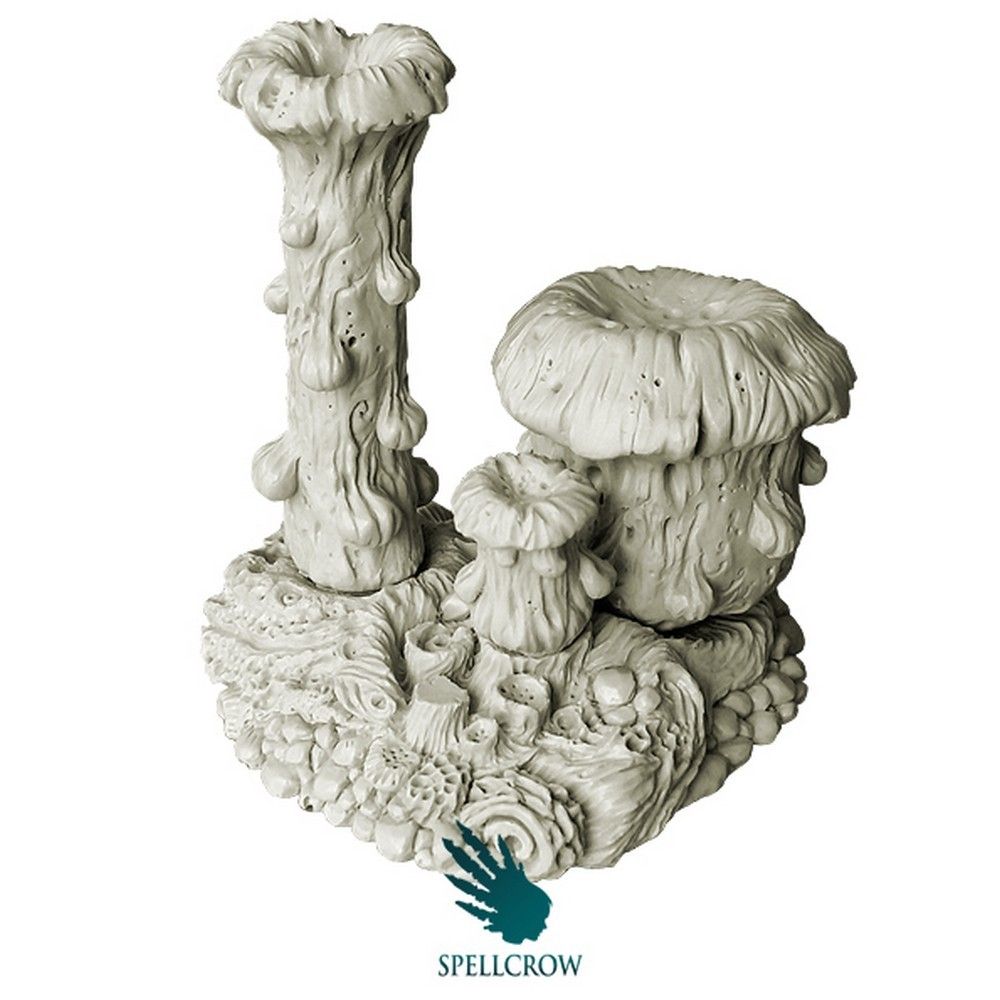 Tathea Cyst Fungus