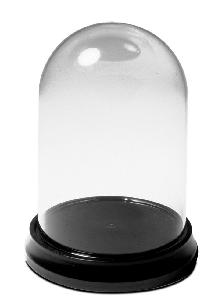 3" Glass Display Dome & Base