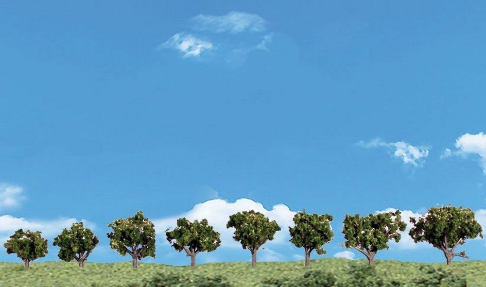 Large Deciduous Trees