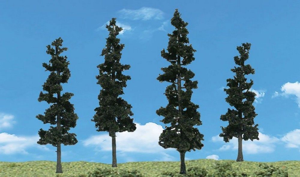 Conifer Trees