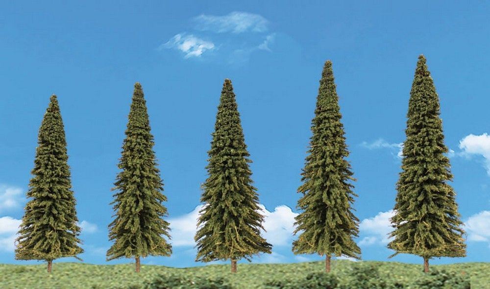 Evergreen Trees