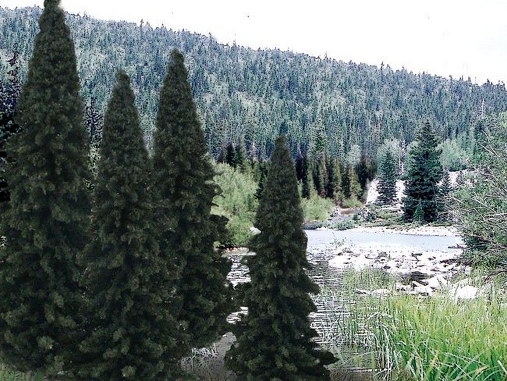 4" - 6" Ready Made Evergreen Value Pack (13 / Pk)