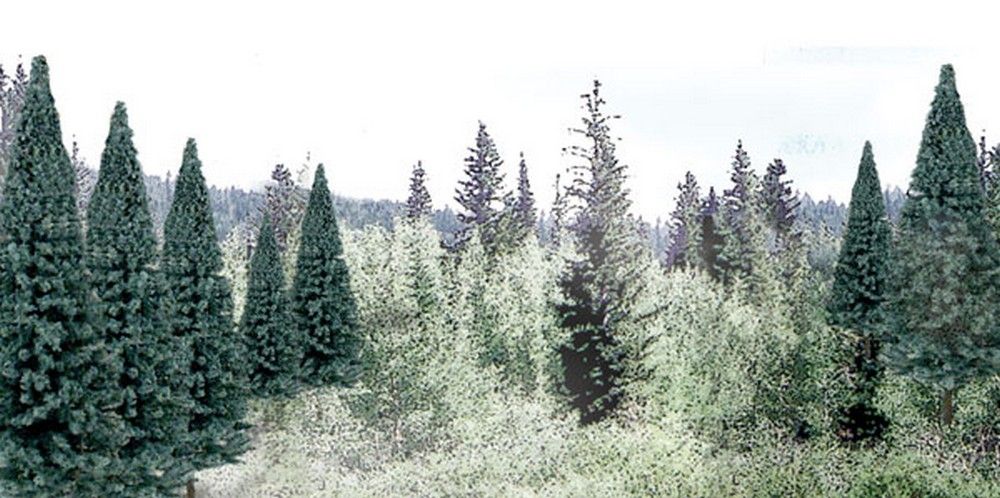 2" - 4" Ready Made Blue Spruce Value Pack (18 / Pk)