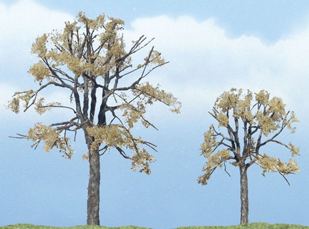2 1/4" - 3 1/4"Premium Dead Elm (2 / Pk)