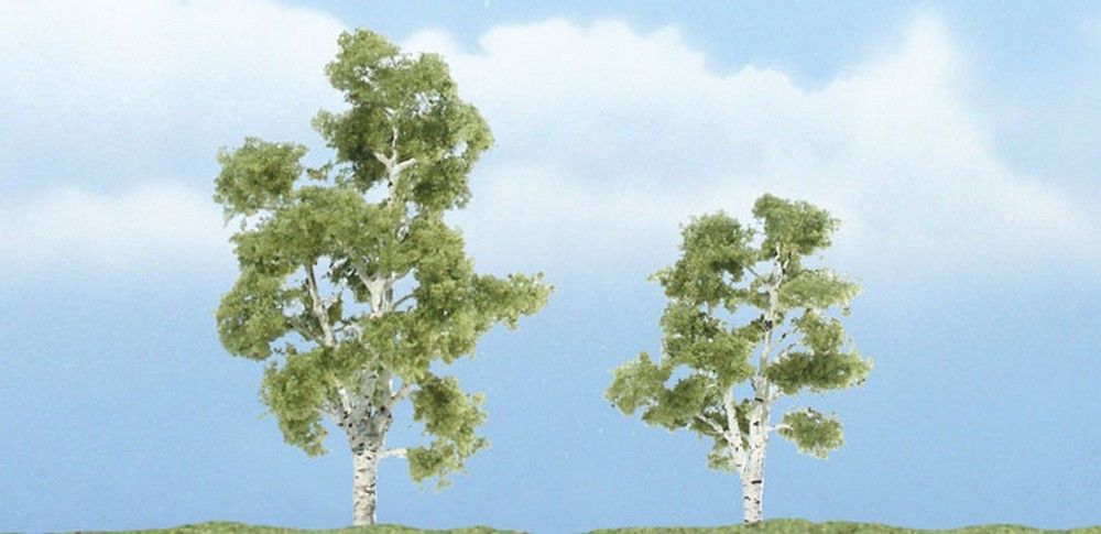 2 1/4" - 3" Premium Sycamore (2 / Pk)