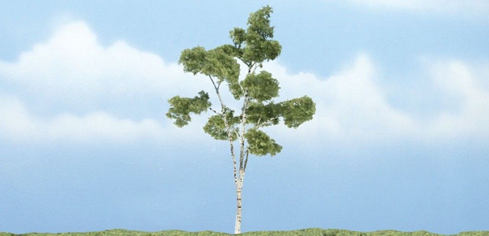 1 1/2" - 3" Premium Paper Birch (3 / Pk)