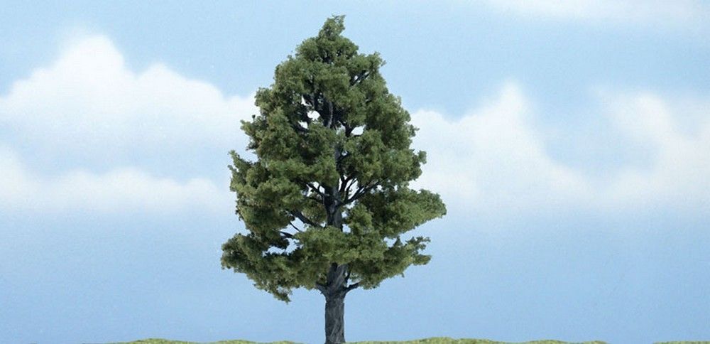 4" Premium Sweetgum (1 / Pk)