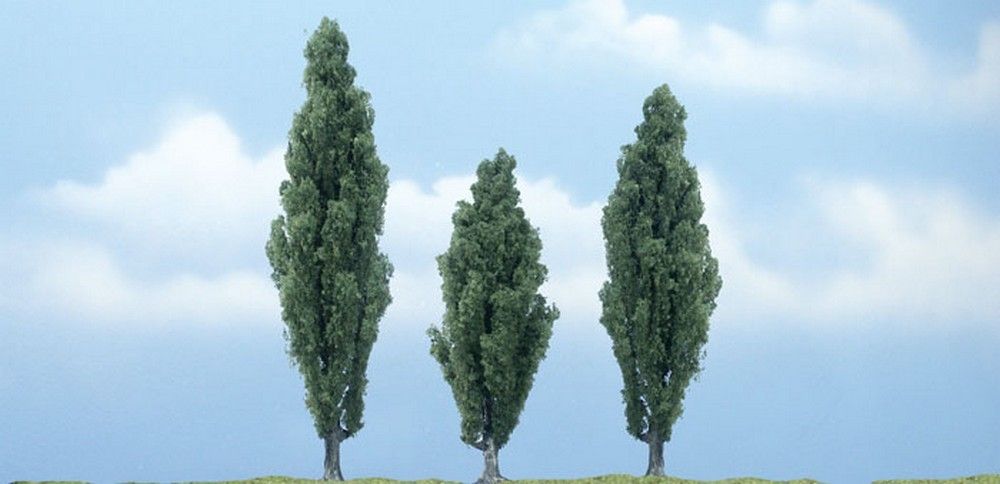 3 1/2" - 4 1/2" Premium Poplar (3 / Pk)