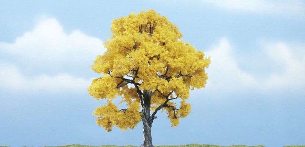 4" Premium Fall Beech (1 / Pk)