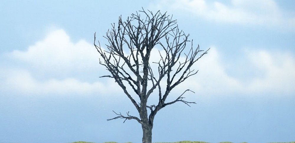 4 1/4" Premium Dead Maple (1 / Pk)
