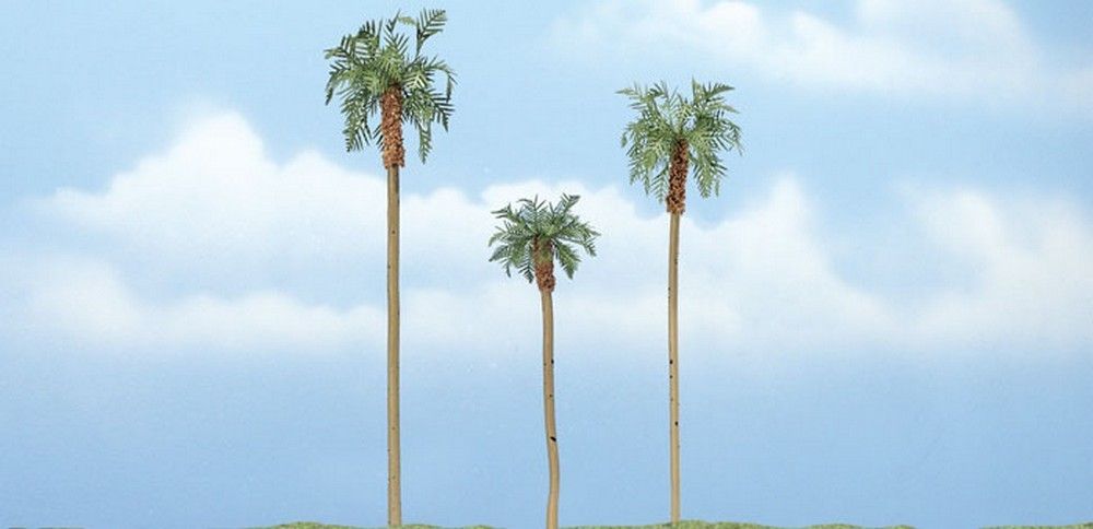 3" - 4 1/2" Premium Royal Palm (3 / Pk)