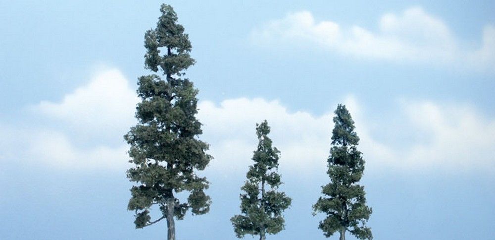 2 1/2" - 5 1/8" Premium Juniper (3 / Pk)