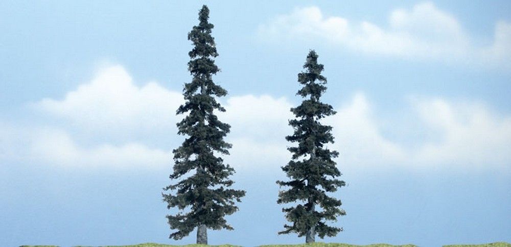 4" - 5" Premium Spruce (2 / Pk)