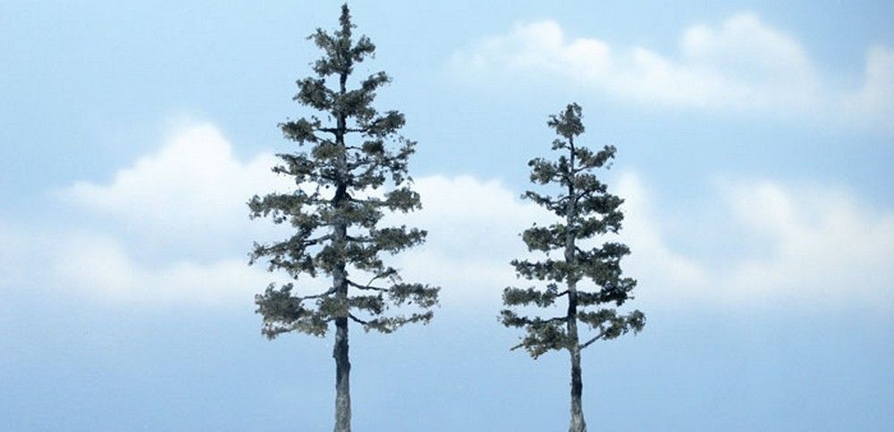 4" - 5 1/4" Premium Pine (2 / Pk)