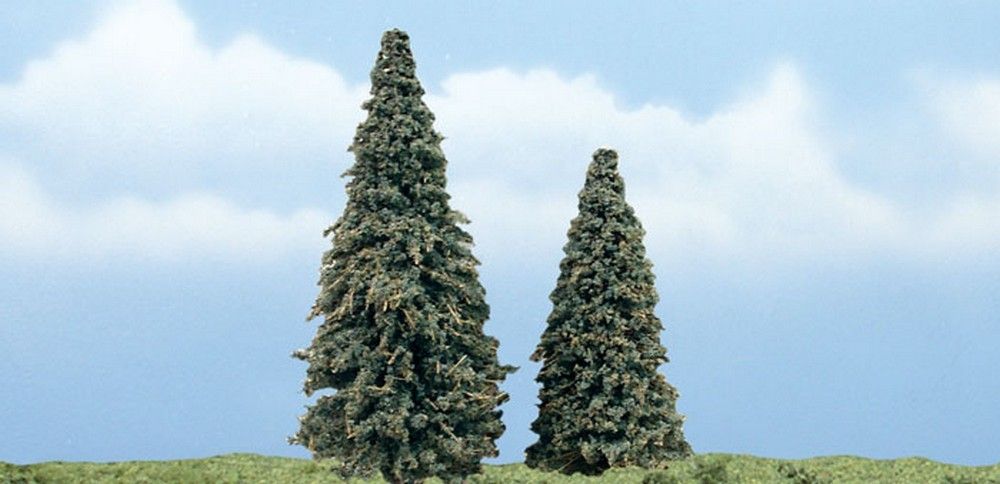 3" - 4" Premium Conifer (2 / Pk)