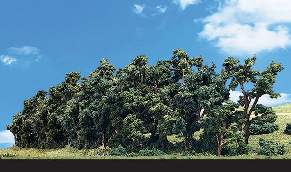 1" - 4" Classic Hedgerow