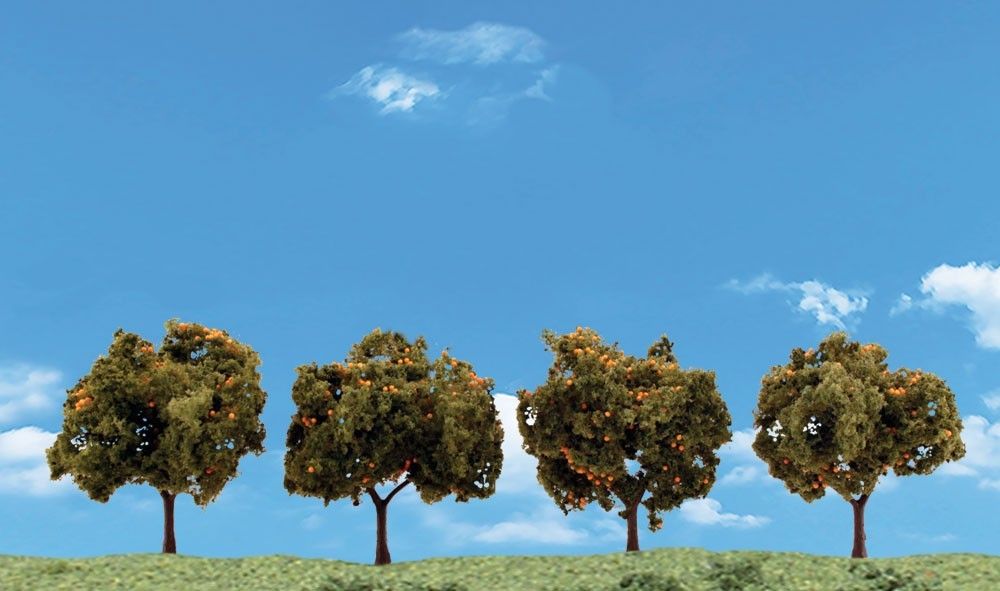 2" - 3" Classic Orange Trees (4 / Pk)