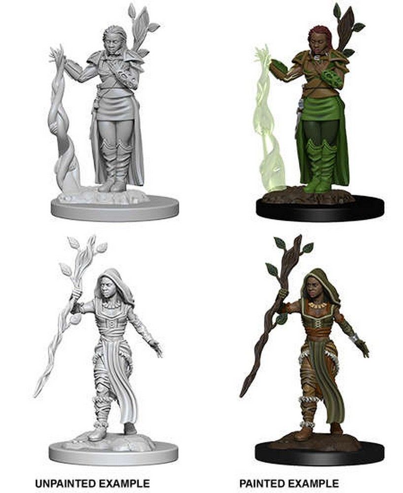 Nolzur's Marvelous Miniatures: Human Female Druid