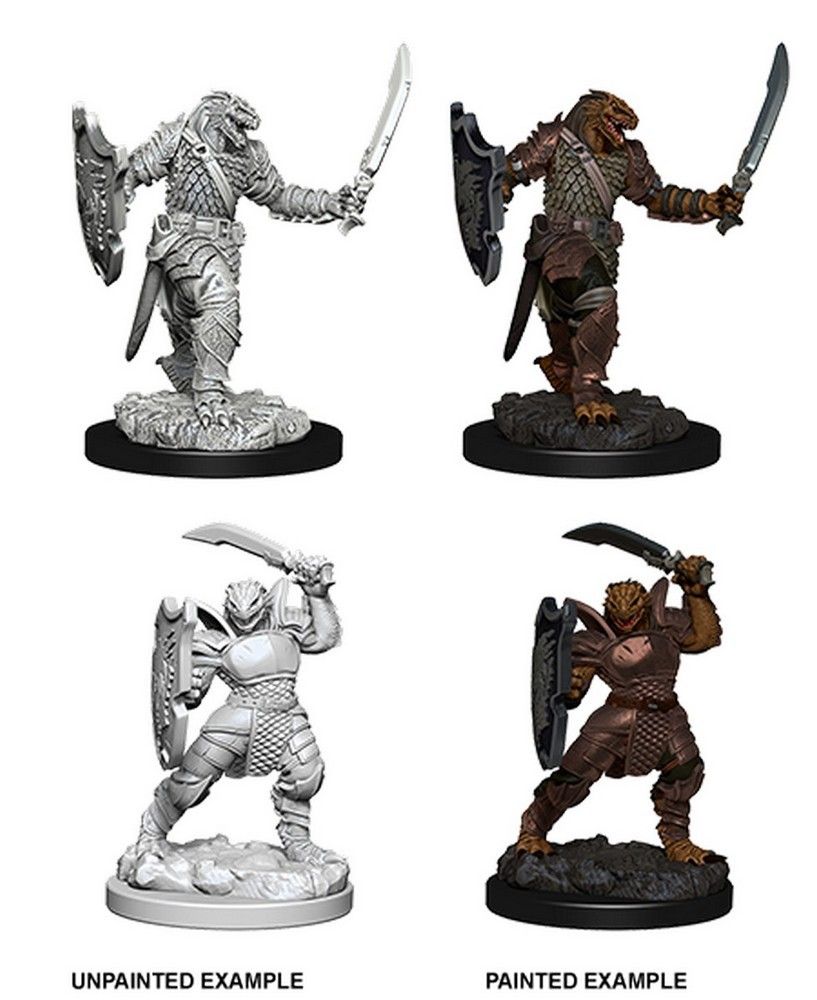 D&D Nolzur's Marvelous Unpainted Miniatures: Dragonborn Female Paladin