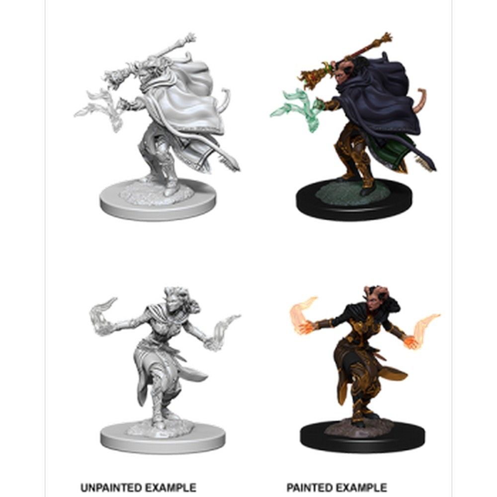 D&D Nolzur's Marvelous Unpainted Miniatures: Female Tiefling Warlock