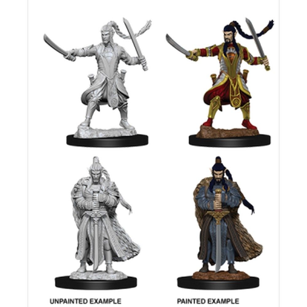 D&D Nolzur's Marvelous Unpainted Miniatures: Male Elf Paladin