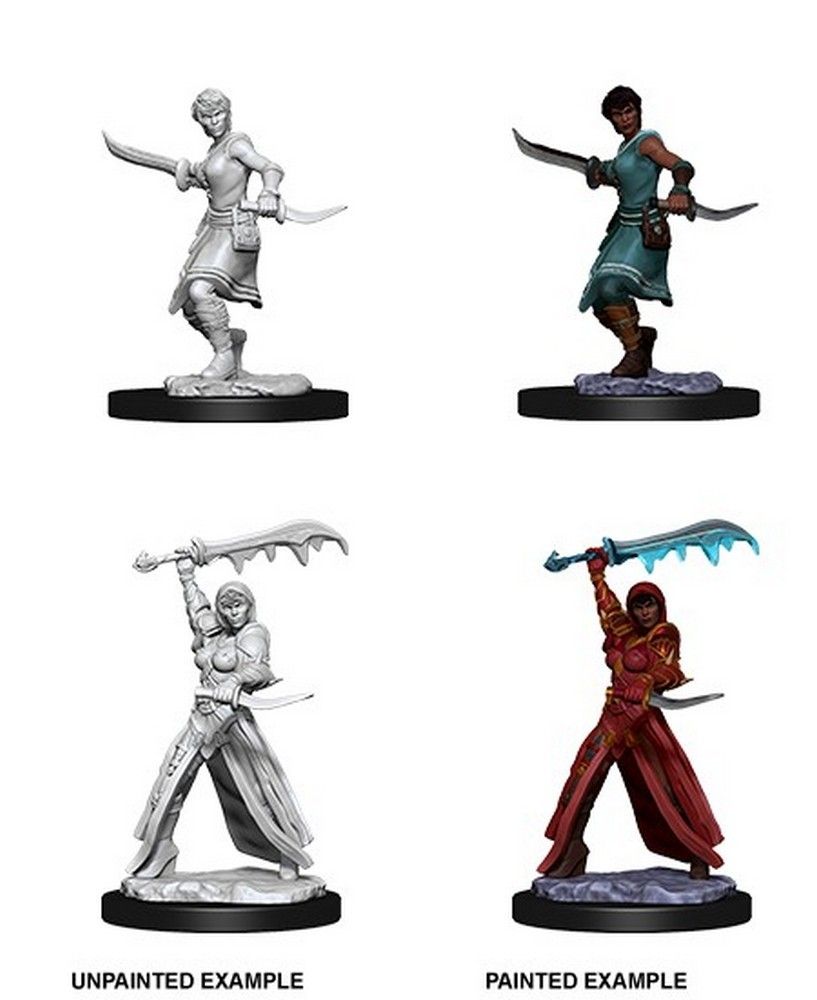 Nolzur's Marvelous Miniatures: Female Human Rogue
