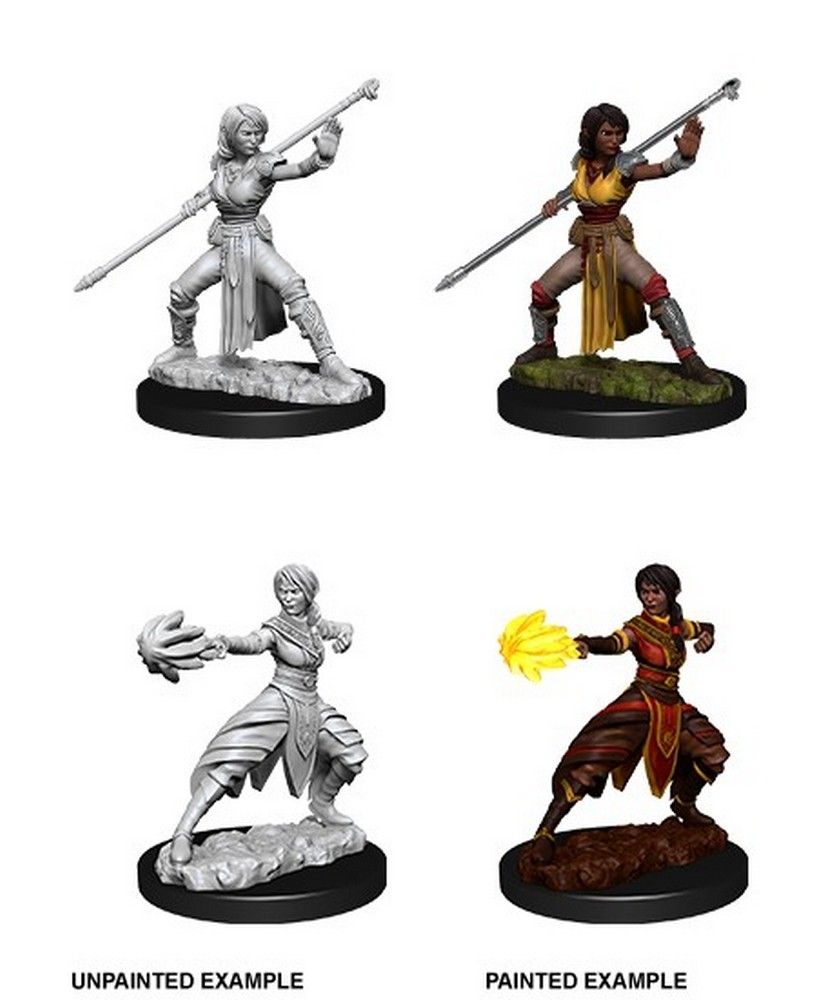 D&D Nolzur's Marvelous Unpainted Miniatures: Female Half-Elf Monk