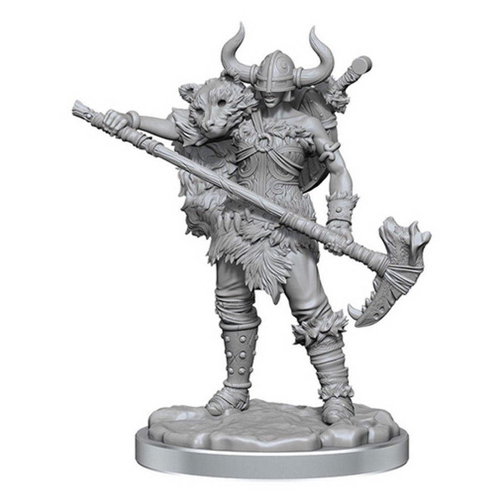 D&D Frameworks: Human Barbarian Female