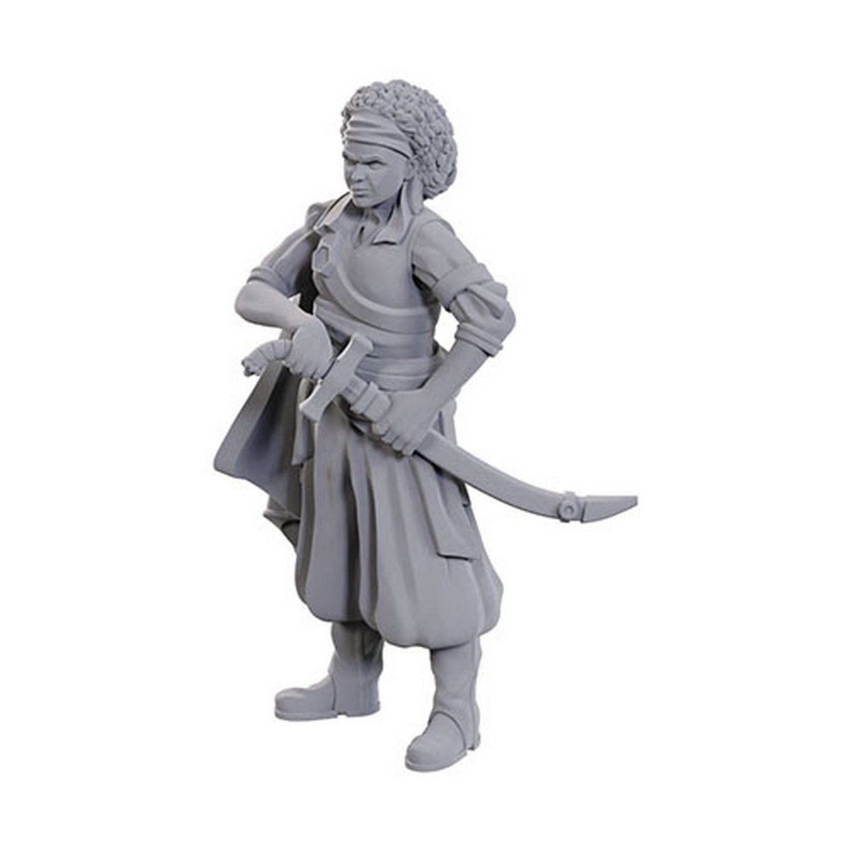 D&D Nolzur's Marvelous Unpainted Miniatures: Ansalon Human Rogue