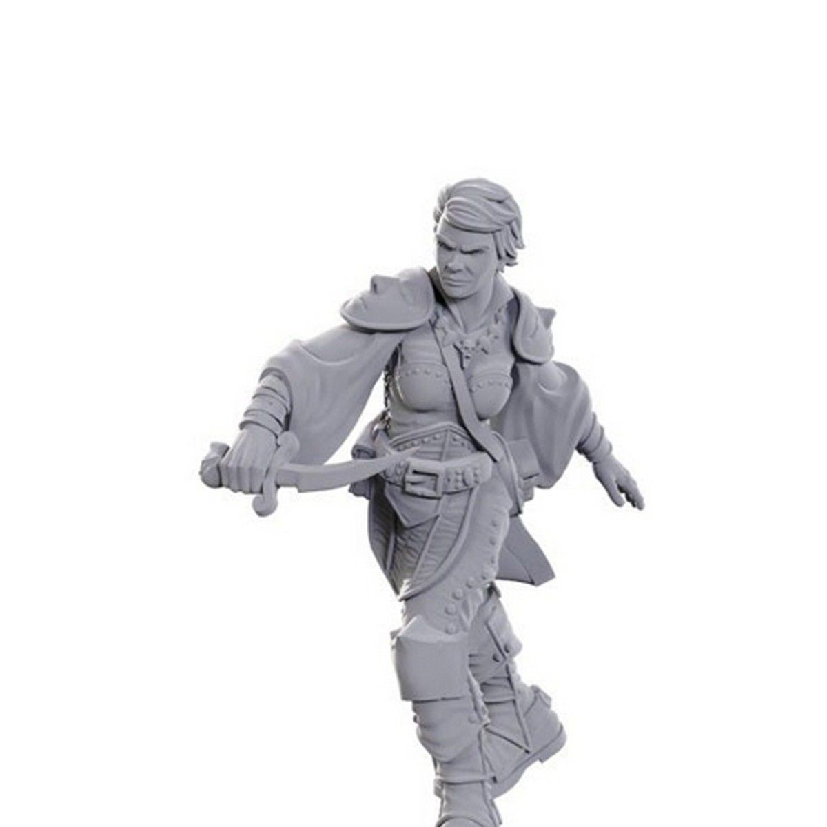 D&D Nolzur's Marvelous Unpainted Miniatures: Swashbuckler