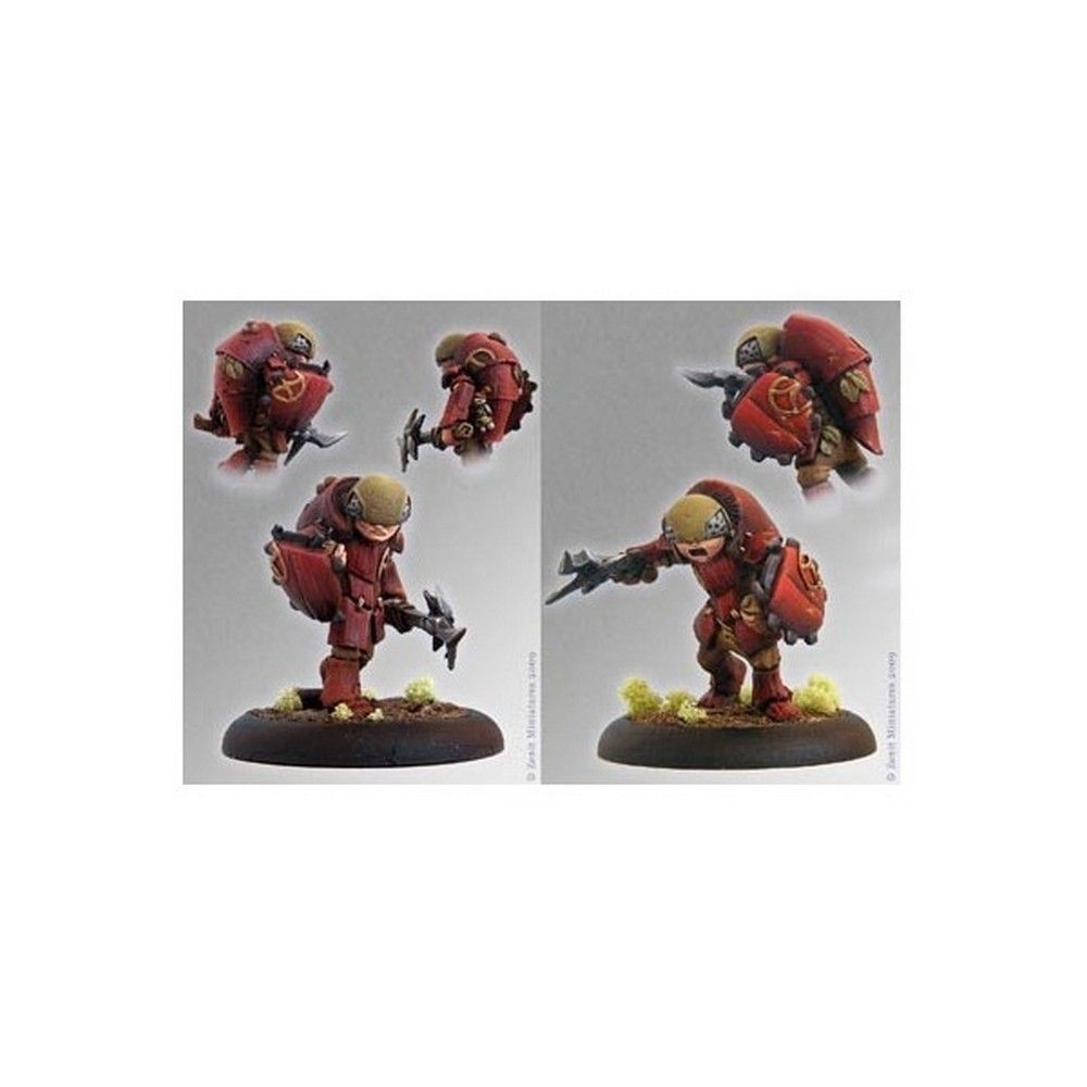 Scarabs