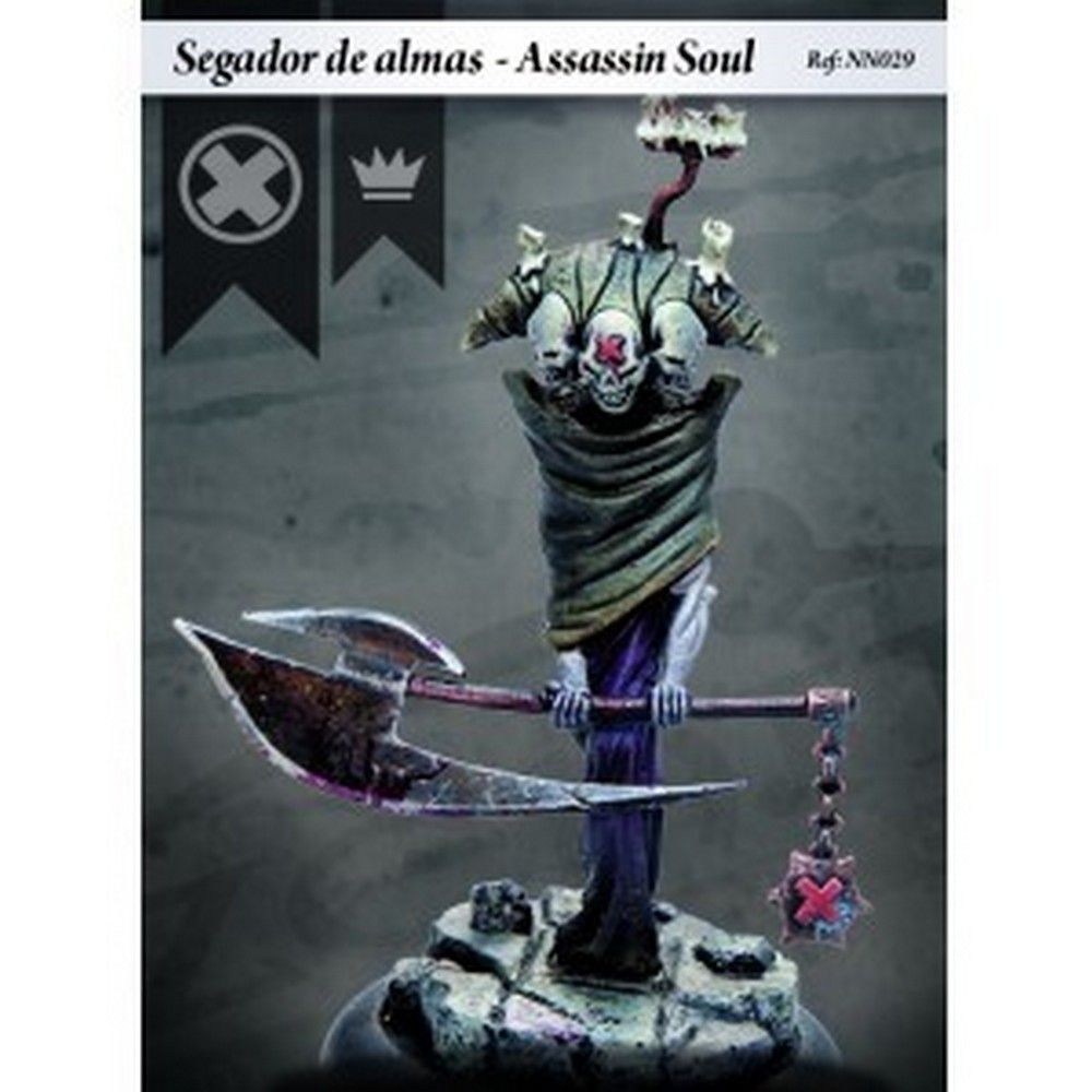 Assassin Soul